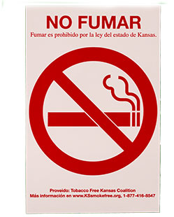No Smoking Window Cling Sign - English